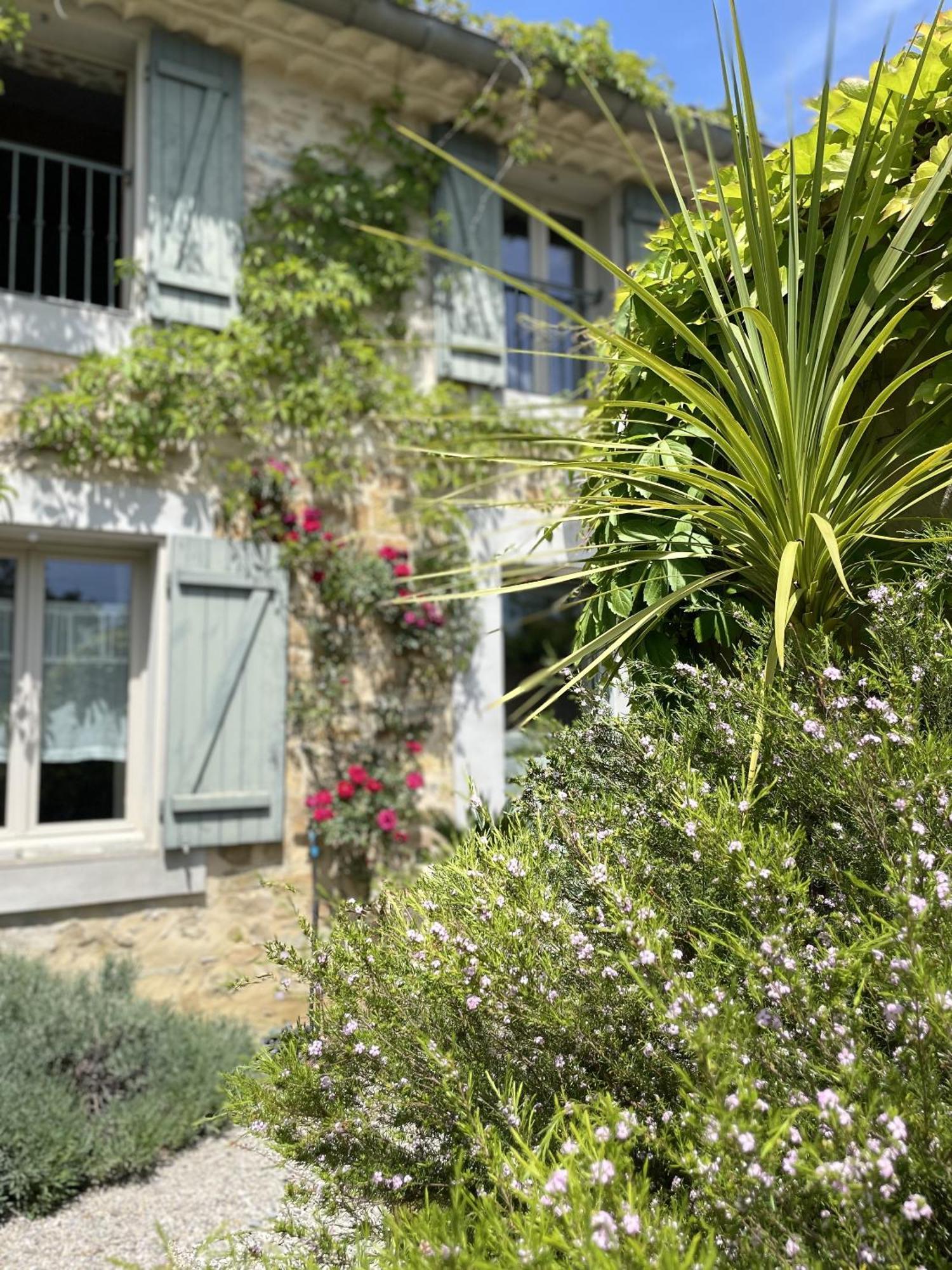 Le Domaine De La Tuilerie - Gite De Charme En Bord De Riviere Avec Piscine Servies-en-Val 外观 照片