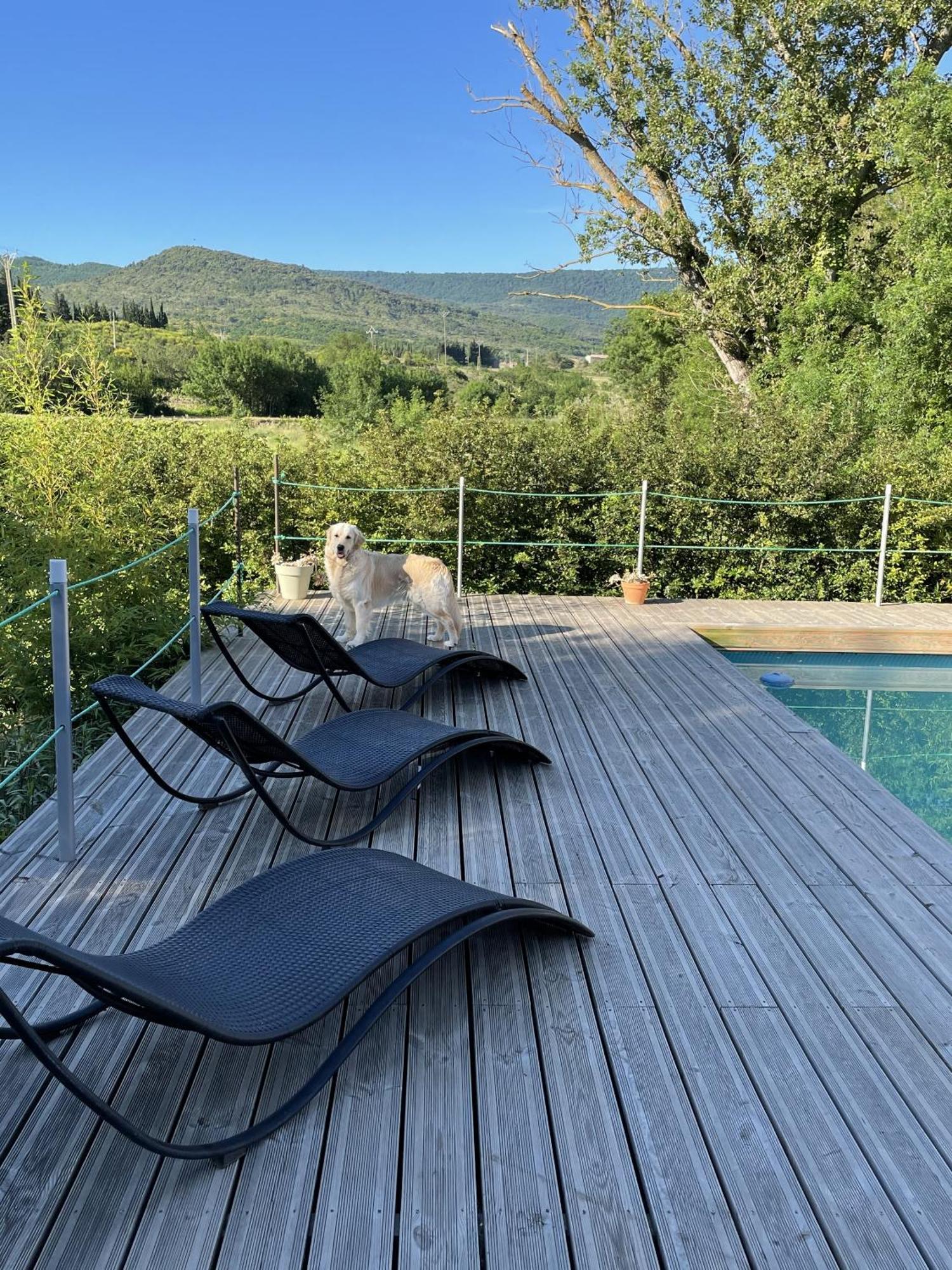 Le Domaine De La Tuilerie - Gite De Charme En Bord De Riviere Avec Piscine Servies-en-Val 外观 照片
