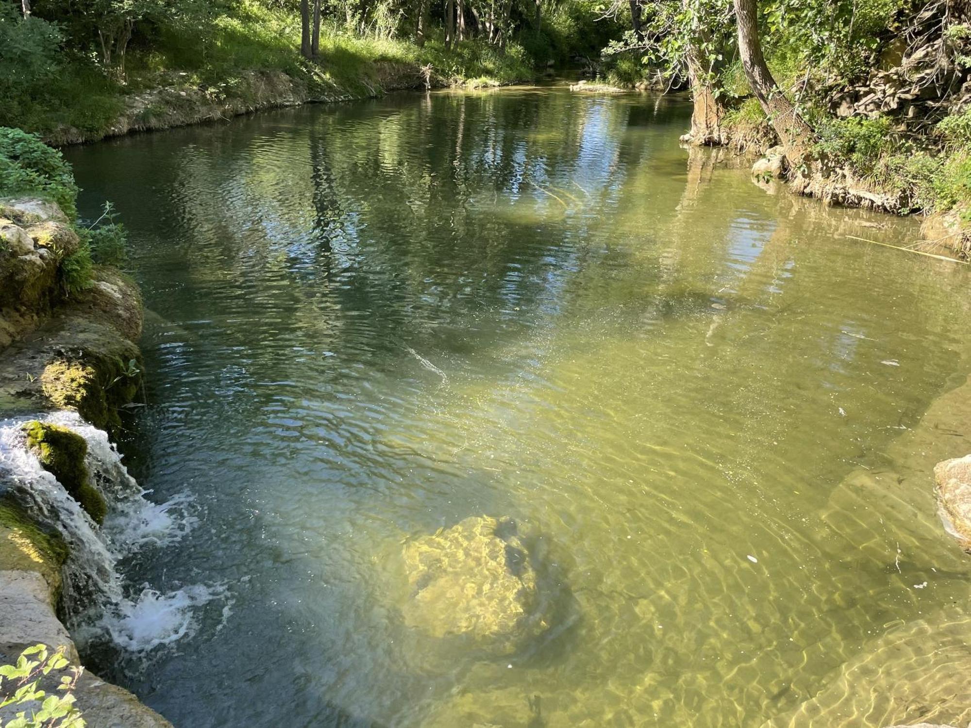 Le Domaine De La Tuilerie - Gite De Charme En Bord De Riviere Avec Piscine Servies-en-Val 外观 照片