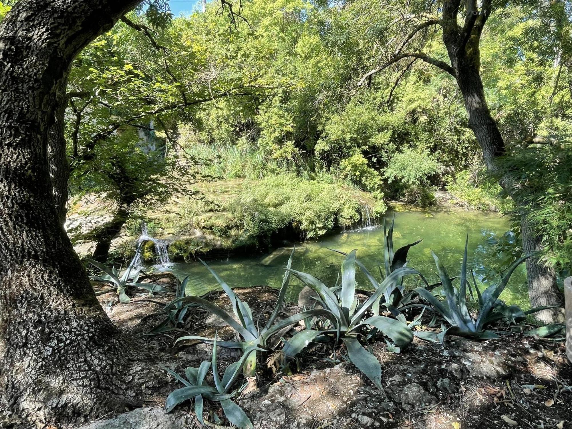 Le Domaine De La Tuilerie - Gite De Charme En Bord De Riviere Avec Piscine Servies-en-Val 客房 照片